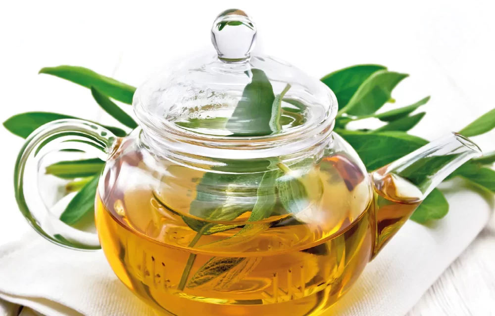 The Advantages Of Drinking Green Tea For Health: 5 Facts You Should Know